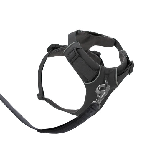 Zigly black padded dog harness with leash and metal clip on white background