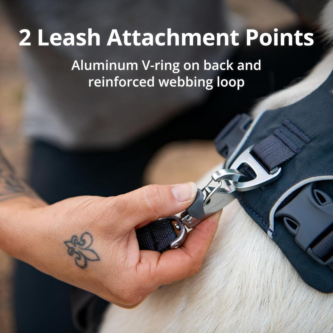 Close-up of hand attaching leash to dog harness with aluminum V-ring and reinforced loop, zigly