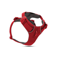 red and gray dog harness with adjustable straps and padded interior for comfort by zigly