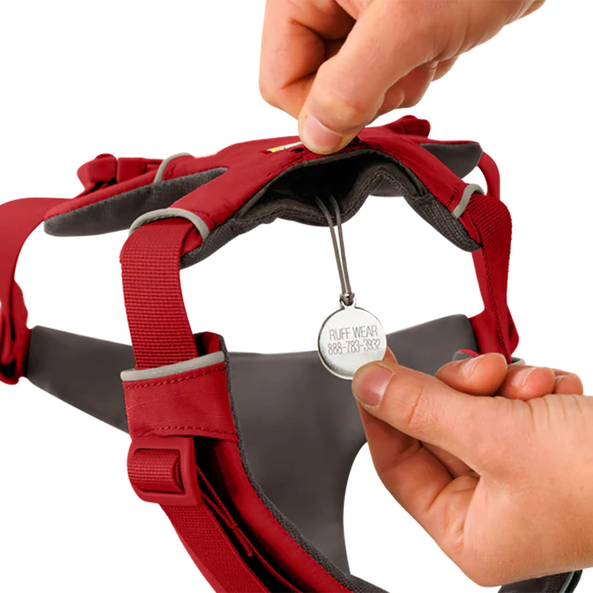 Hand attaching metal Ruff Wear pet ID tag to red dog harness with gray padding zigly