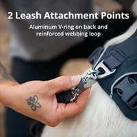 Close-up of hand attaching leash clip to dog harness with aluminum V-ring and reinforced webbing loop, zigly