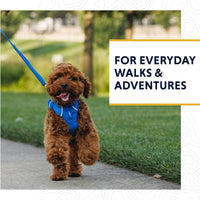 Ruffwear Front Range Leash Moonlight Fade 5 Ft (1.5m)