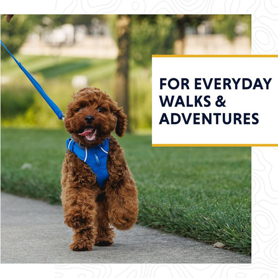 Ruffwear Front Range Leash Spring Fade 5 Ft (1.5m)