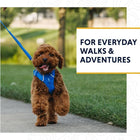 Ruffwear Front Range Leash Spring Fade 5 Ft (1.5m)