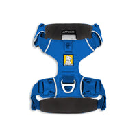 Ruffwear blue dog harness with padded straps and D-ring leash attachment, zigly design