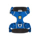 Ruffwear blue dog harness with padded straps and D-ring leash attachment, zigly design