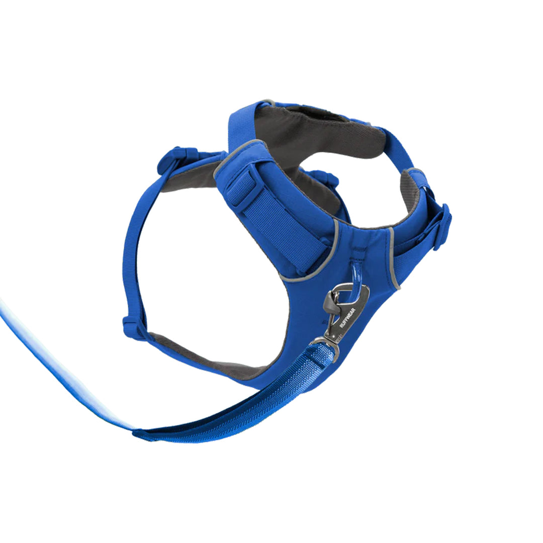 Zigly blue padded dog harness with leash and metal clip on white background