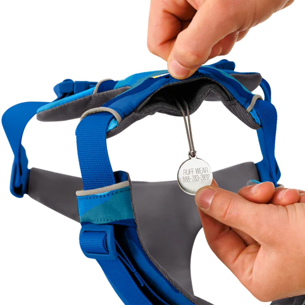 Hands adjusting blue adjustable dog harness with metal Ruff Wear ID tag, zigly