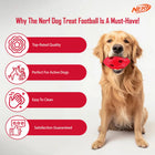 Nerf TPR Bash Treat Football Dog Toy - Red - 15.24 cm