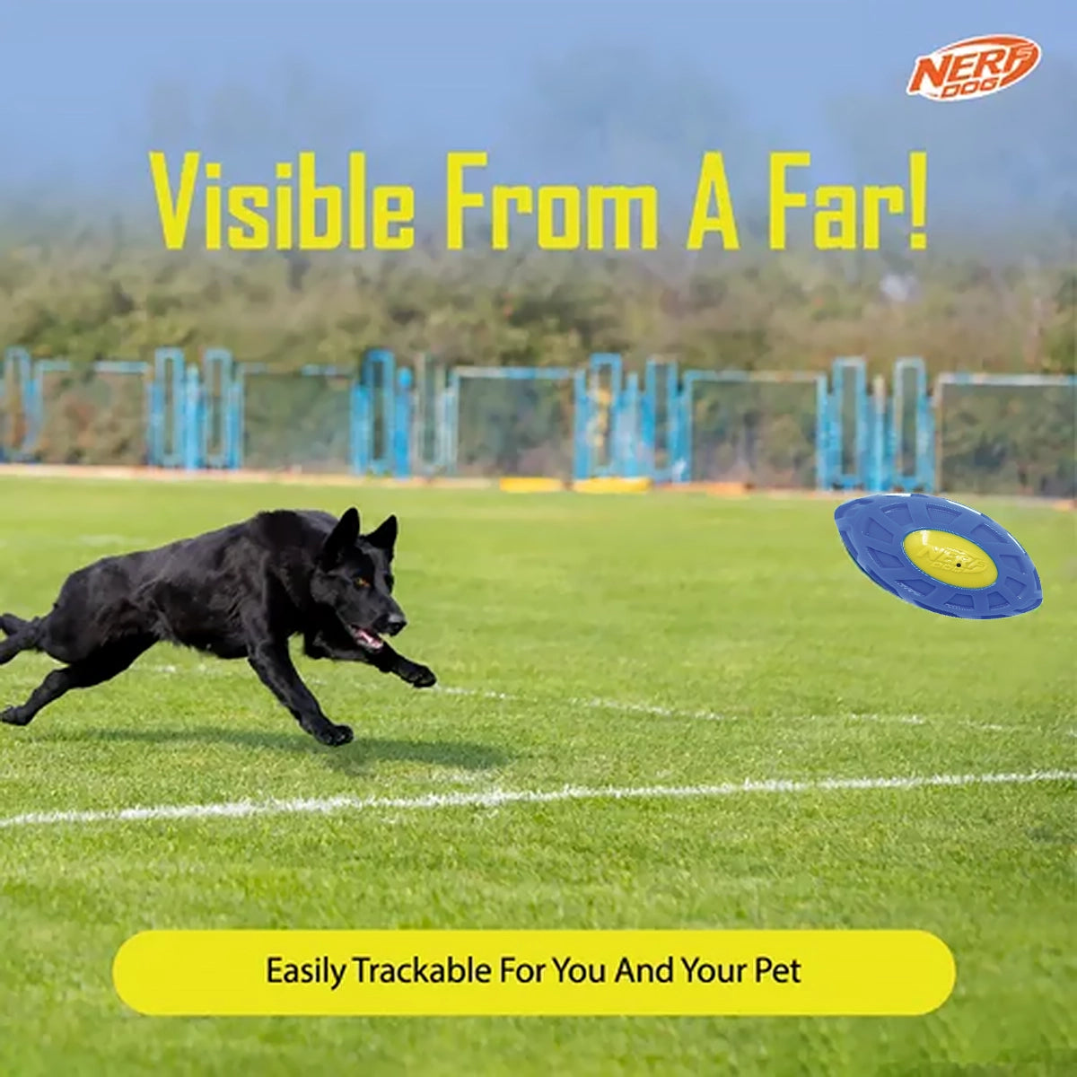 Nerf Dog Exo Micro Squeaky Football Dog Toy - Blue/ Green