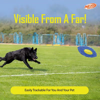 Nerf Dog Exo Micro Squeaky Football Dog Toy - Blue/ Green