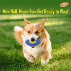 Nerf Dog Exo Micro Squeaky Football Dog Toy - Blue/ Green
