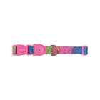Zee Dog Melted Dog Collar - Zigly