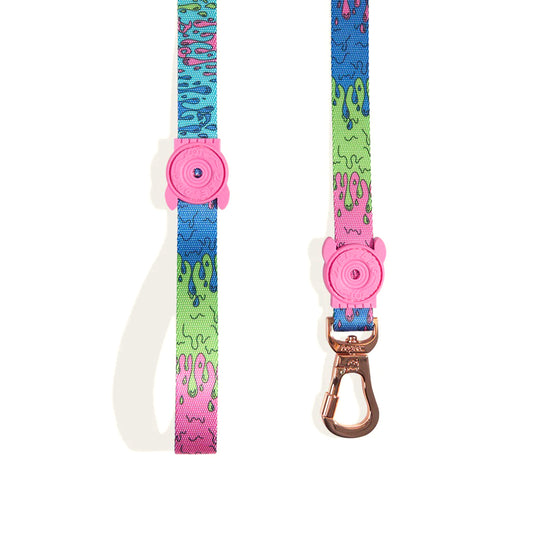 Zee Dog Melted Dog Leash - Zigly
