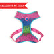 Zee Dog Melted Dog Air-Mesh Harness - Zigly