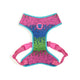 Zee Dog Melted Dog Air-Mesh Harness - Zigly