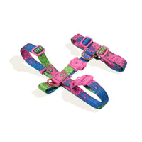 Zee Dog Melted Dog H-Harness - Zigly
