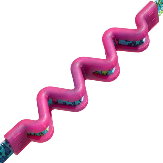 Zee Dog Melted Ruff-Dog Leash - Zigly