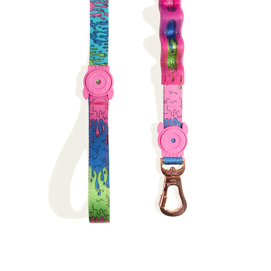 Zee Dog Melted Ruff-Dog Leash - Zigly