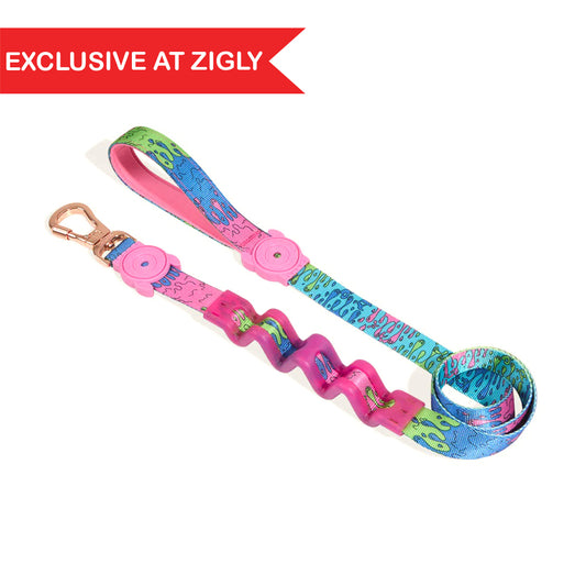 Zee Dog Melted Ruff-Dog Leash - Zigly