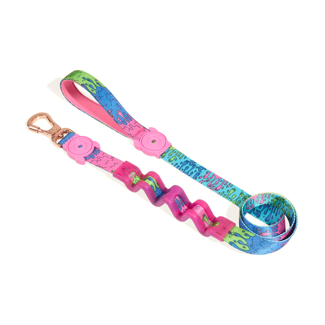 Zee Dog Melted Ruff-Dog Leash - Zigly