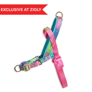 Zee Dog Melted Softer-Walk Dog Harness - Zigly