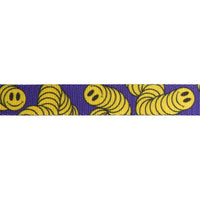 Zee Dog Zmiley Dog Leash - Zigly