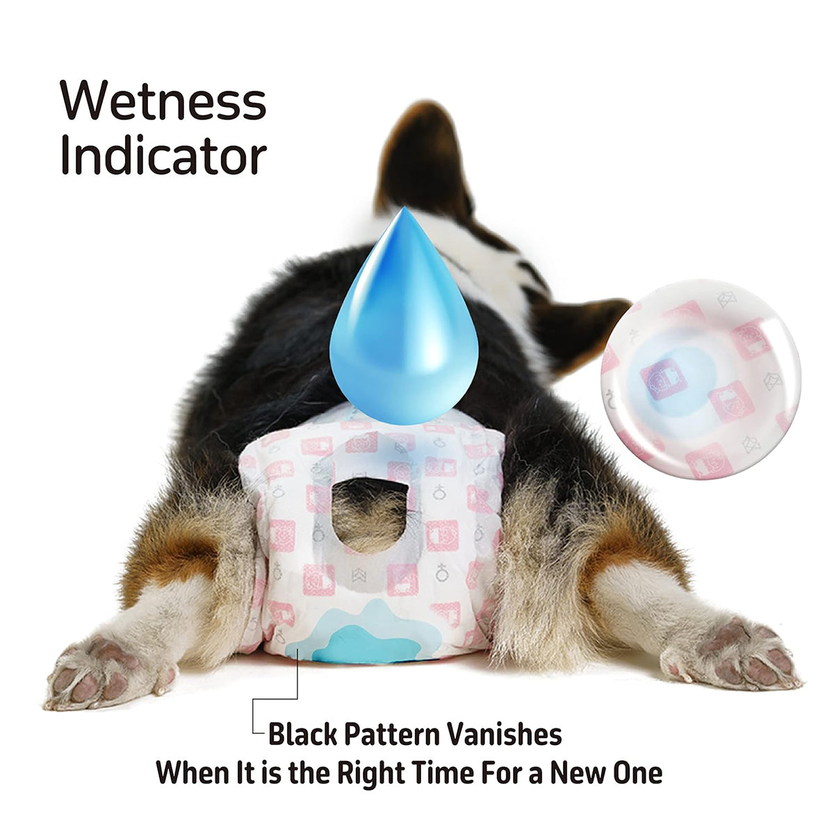 Fofos Diaper Female Dog