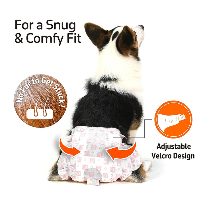 Fofos Diaper Female Dog