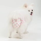 Fofos Diaper Female Dog - Zigly