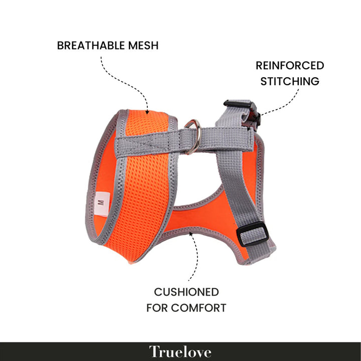 Truelove Cat & Small Dog Harness-Orange-X-Small