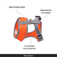 Truelove Cat & Small Dog Harness-Orange-X-Small