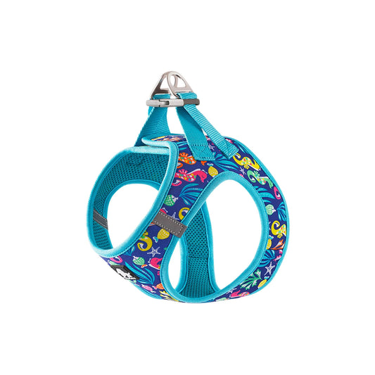 Truelove Floral Harness, Small & Medium Breeds-Blue Atoll