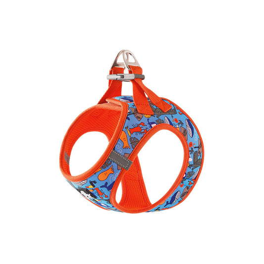 Truelove Floral Harness, Small & Medium Breeds-Firecracker