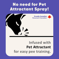 Purple Tails Pet Training Pads - 10 Pads