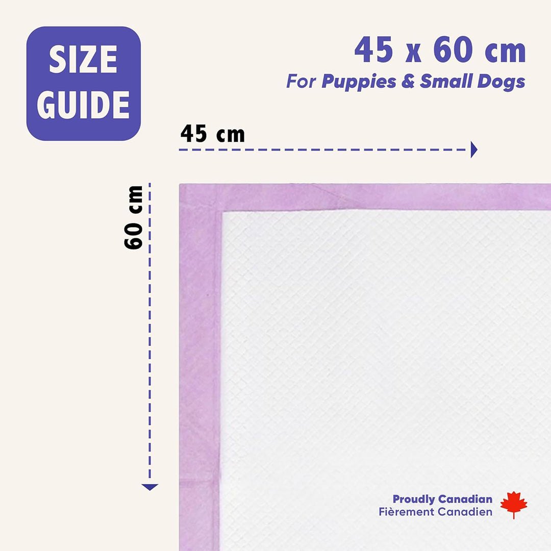 Purple Tails Pet Training Pads - 10 Pads