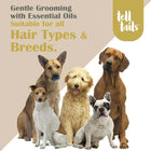 Tell Tails Paw Cream for Dogs - 50g - Zigly