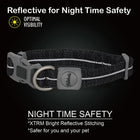 Petaholic Sports Series Dog Collar-Black - Zigly