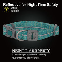 Petaholic Sports Series Dog Collar-Ocean Blue