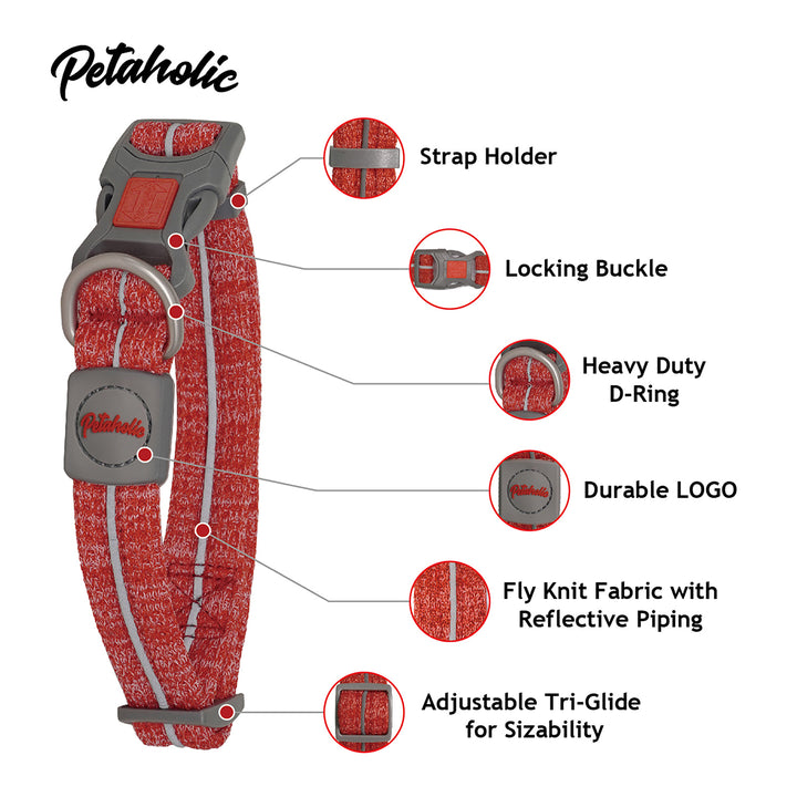 Petaholic Sports Series Dog Collar-Ocean Blue