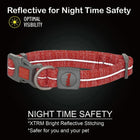 Petaholic Sports Series Dog Collar-Orange - Zigly