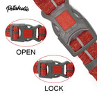 Petaholic Sports Series Dog Collar-Maroon - Zigly