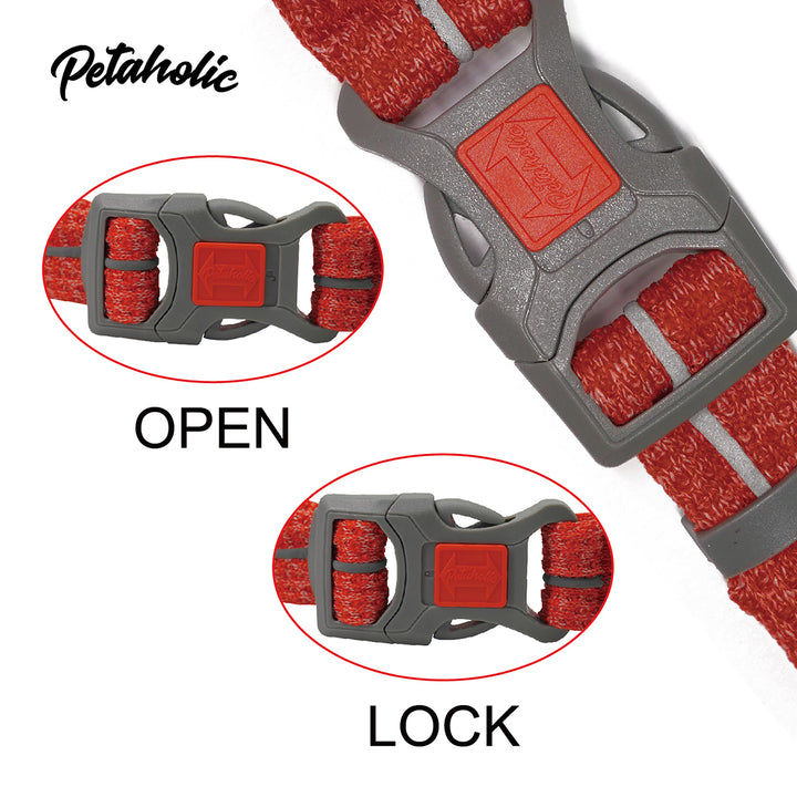 Petaholic Sports Series Dog Collar-Ocean Blue