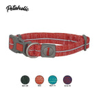 Petaholic Sports Series Dog Collar-Orange - Zigly