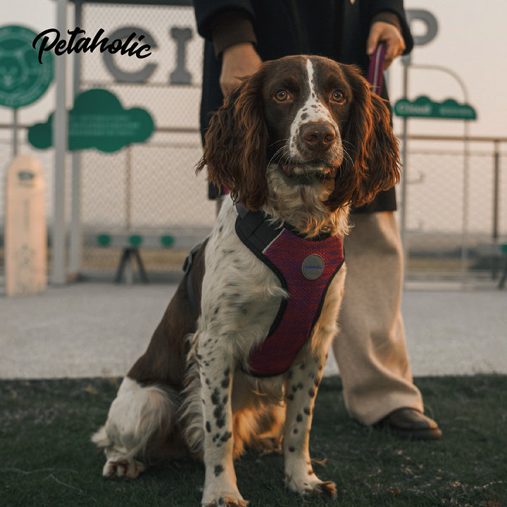 Petaholic Sports Series Dog Harness - Orange