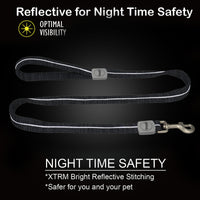 Petaholic Sports Series Dog Leash - Black