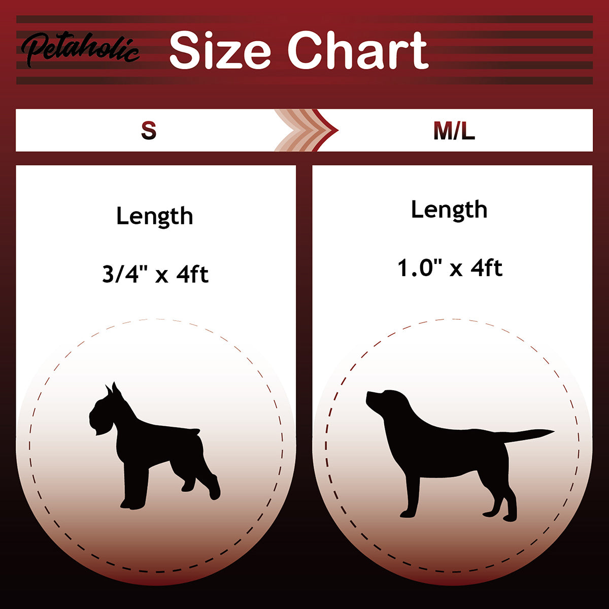 Petaholic Sports Series Dog Leash - Black
