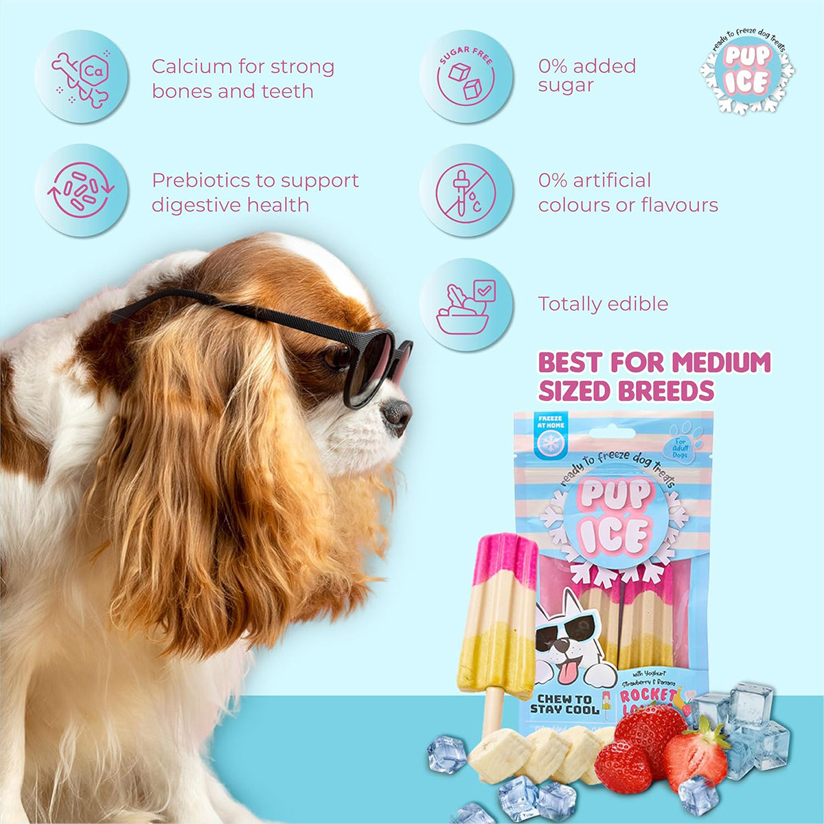 Pup Ice Rocket Lollies, Yoghurt Strawberry & Banana Flavour Dog Treat, 2 Pcs - 90g