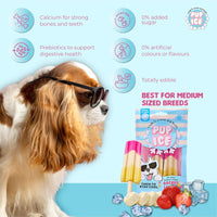 Pup Ice Rocket Lollies, Yoghurt Strawberry & Banana Flavour Dog Treat, 2 Pcs - 90g