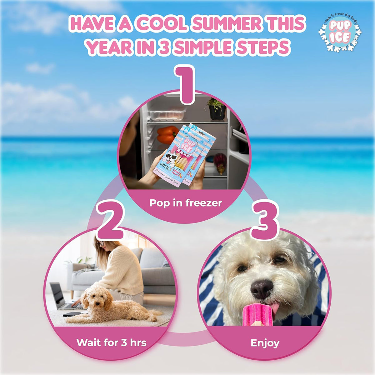 Pup Ice Rocket Lollies, Yoghurt Strawberry & Banana Flavour Dog Treat, 2 Pcs - 90g